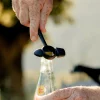 Women Imogene + Willie cast iron hammer bottle opener