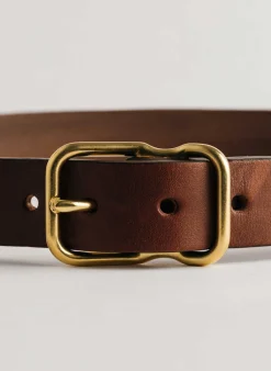 Women Imogene + Willie emil erwin narrow signature belt in walnut