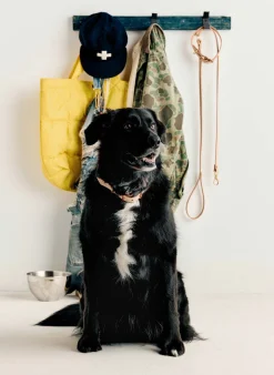 Women Imogene + Willie emil erwin x i+w dog leash