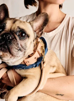 Women Imogene + Willie emil erwin x i+w dog leash