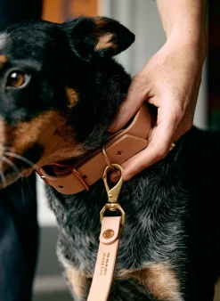 Women Imogene + Willie emil erwin x i+w dog leash
