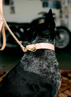 Women Imogene + Willie emil erwin x i+w dog leash
