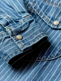 Imogene + Willie hayes indigo stripe pearl snap