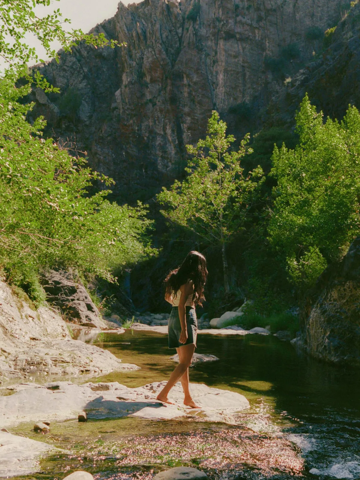 Women Imogene + Willie hazel salinas cutoff short