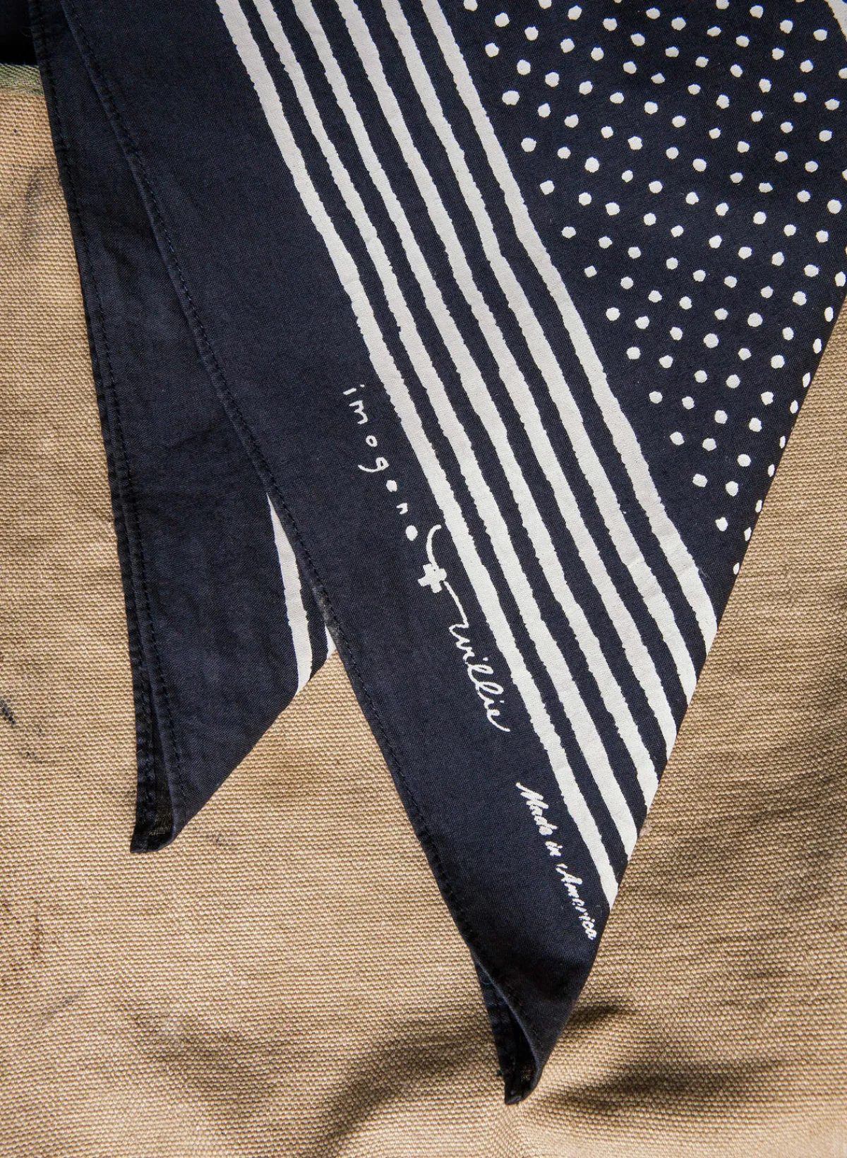 Women Imogene + Willie i+w vintage black bandana v2