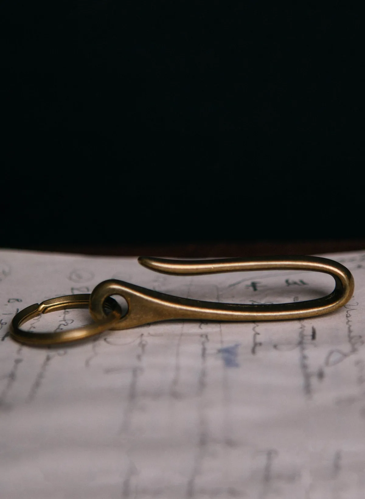 Women Imogene + Willie japanese brass key hook