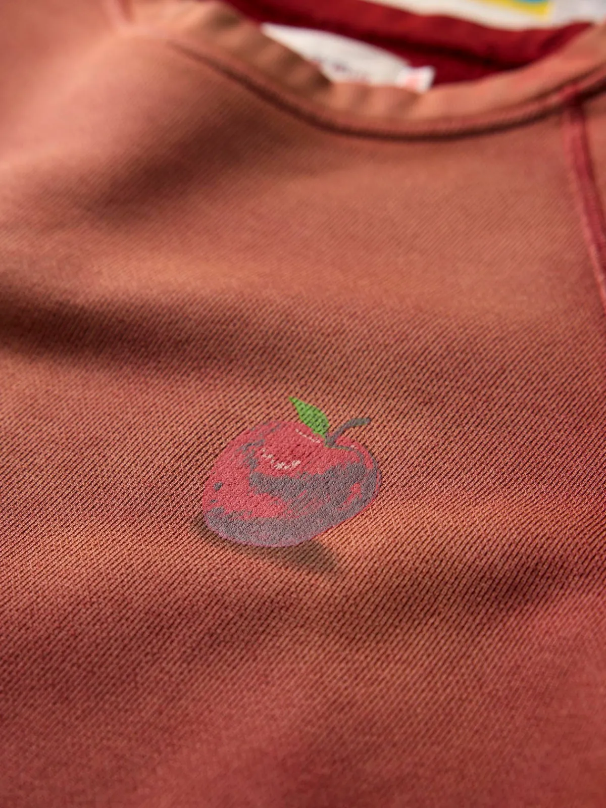 Imogene + Willie the "forbidden fruit" raglan crew