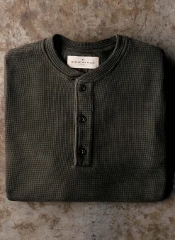 Imogene + Willie the knit waffle henley in forest