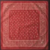 Women Imogene + Willie the "muerte" bandana in red