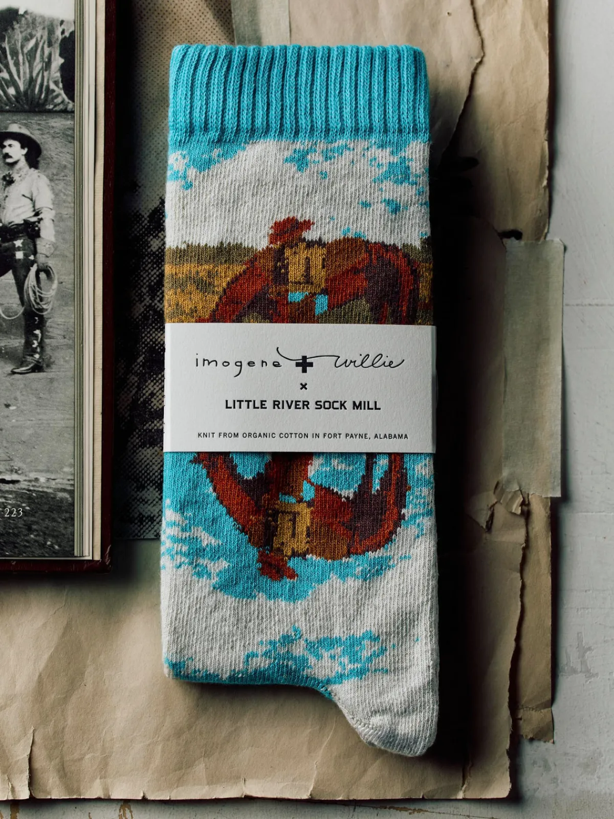 Imogene + Willie the "reflection" sock