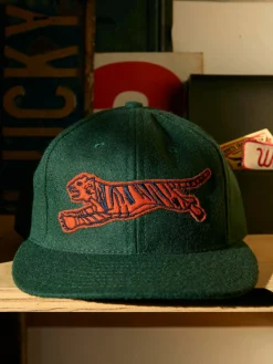 Women Imogene + Willie the wool "scrimmage" cap